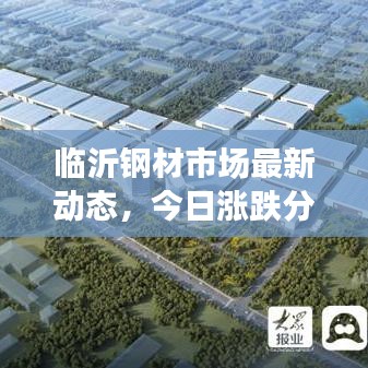 临沂钢材市场最新动态，今日涨跌分析与趋势解读
