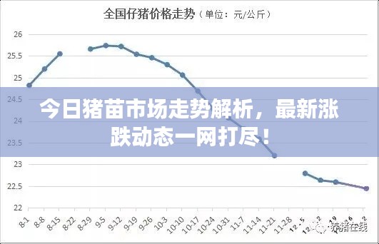 今日猪苗市场走势解析，最新涨跌动态一网打尽！
