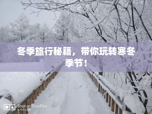 冬季旅行秘籍，带你玩转寒冬季节！