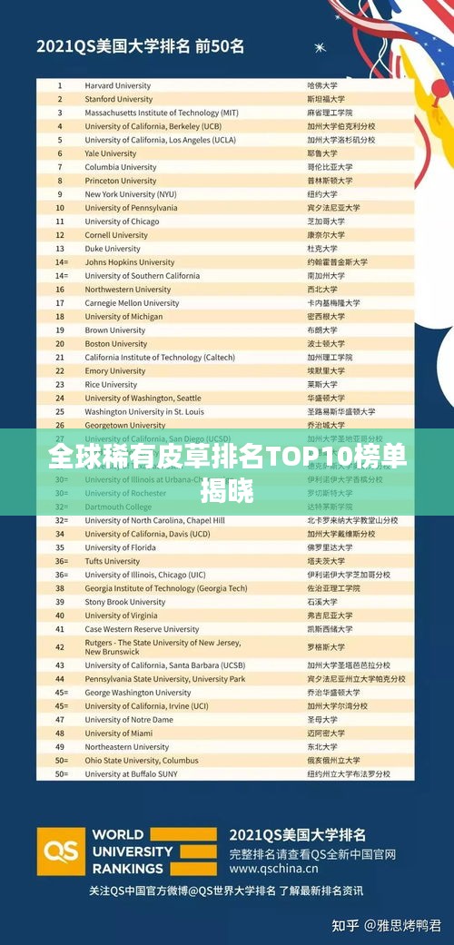 全球稀有皮草排名TOP10榜单揭晓
