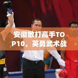 安徽散打高手TOP10，英勇武术战士榜单揭晓！