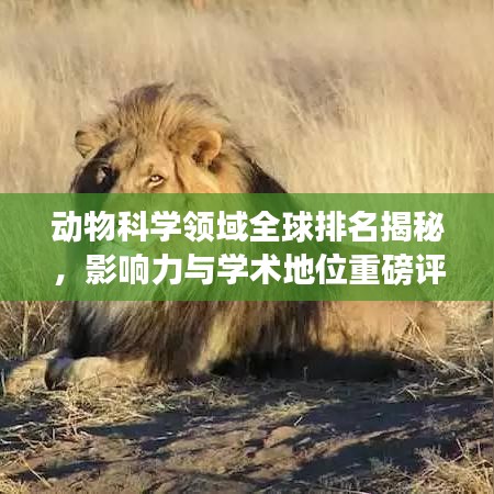 动物科学领域全球排名揭秘，影响力与学术地位重磅评估