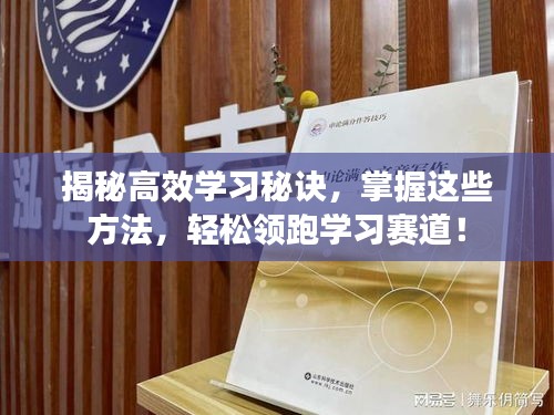 揭秘高效学习秘诀，掌握这些方法，轻松领跑学习赛道！