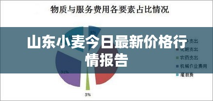 山东小麦今日最新价格行情报告