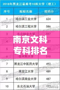 南京文科专科排名前十名校揭秘，学术明珠的探寻之旅