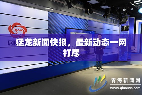 猛龙新闻快报，最新动态一网打尽