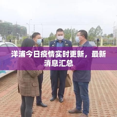 洋浦今日疫情实时更新，最新消息汇总