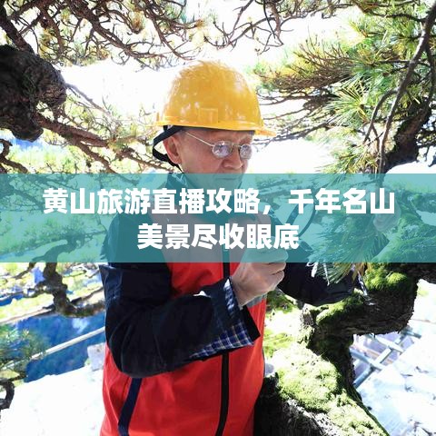 小鸟伊人 第2页