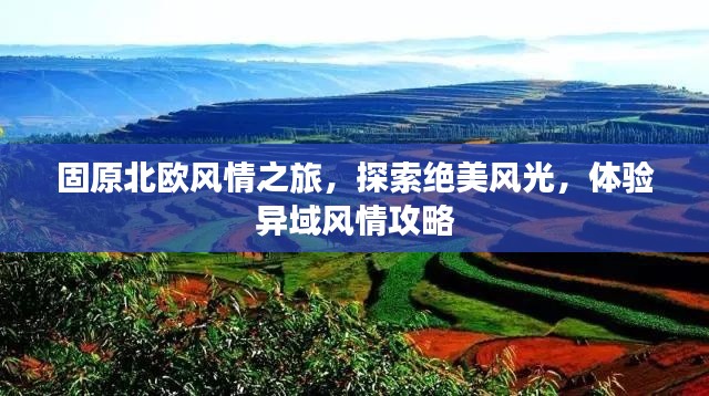 固原北欧风情之旅，探索绝美风光，体验异域风情攻略