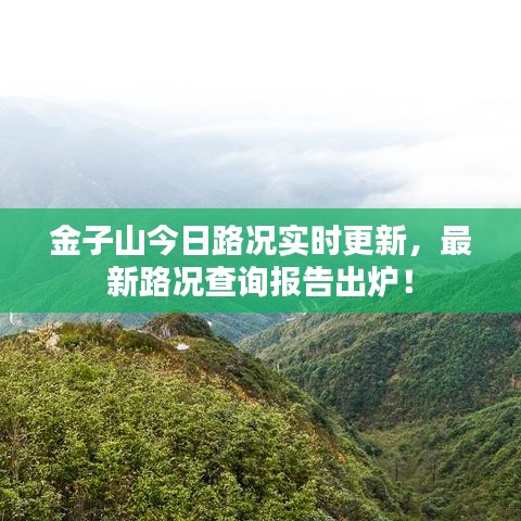 金子山今日路况实时更新，最新路况查询报告出炉！