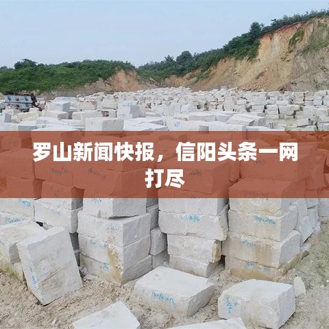 粗枝大叶 第2页