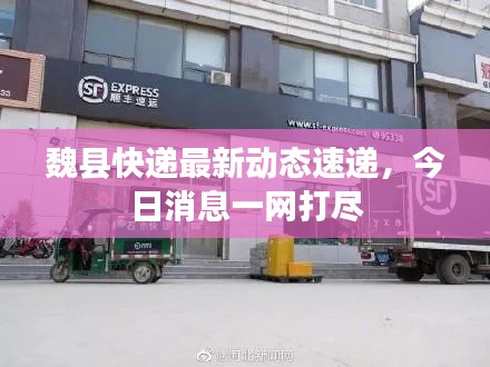 魏县快递最新动态速递，今日消息一网打尽