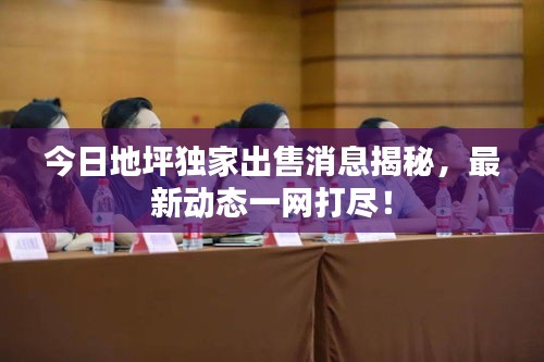 今日地坪独家出售消息揭秘，最新动态一网打尽！