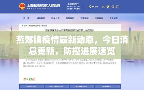 燕郊镇疫情最新动态，今日消息更新，防控进展速览