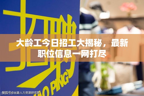 大龄工今日招工大揭秘，最新职位信息一网打尽