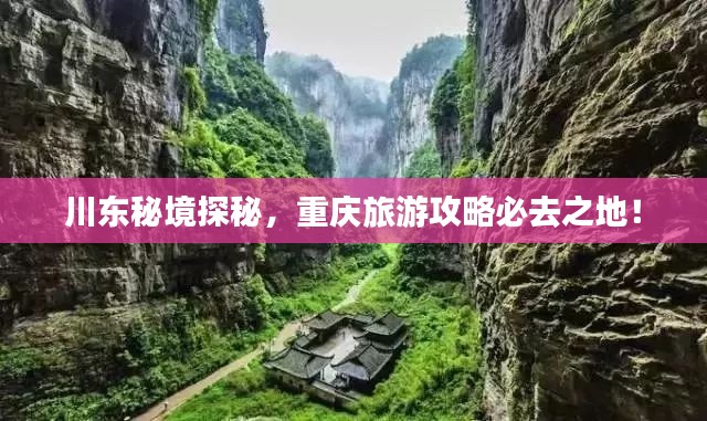 手不释卷 第2页