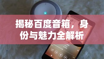 揭秘百度音箱，身份与魅力全解析
