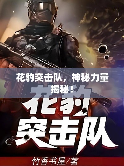 花豹突击队，神秘力量揭秘！