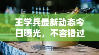 王学兵最新动态今日曝光，不容错过！