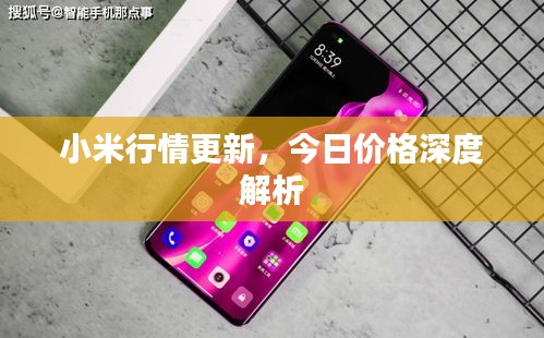 小米行情更新，今日价格深度解析