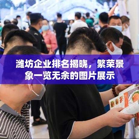 潍坊企业排名揭晓，繁荣景象一览无余的图片展示