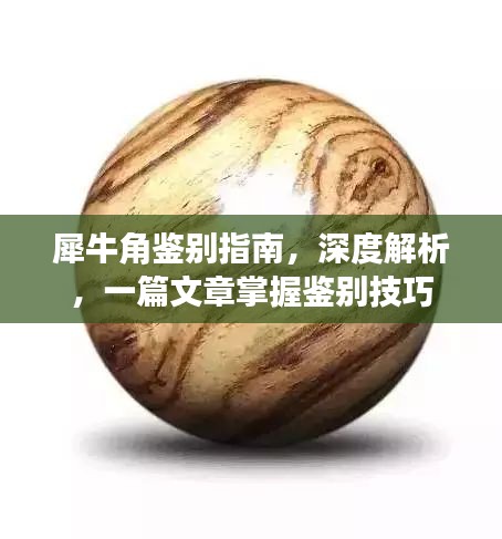 贵极人臣 第2页