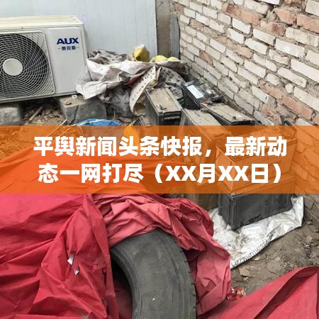 平舆新闻头条快报，最新动态一网打尽（XX月XX日）