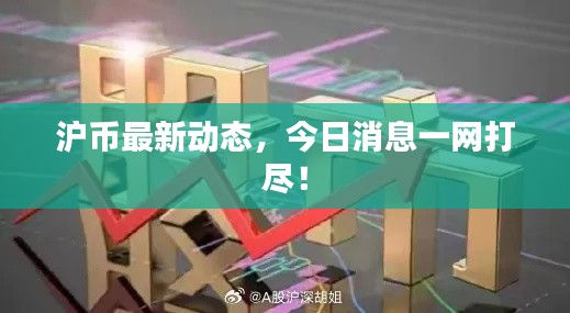 沪币最新动态，今日消息一网打尽！