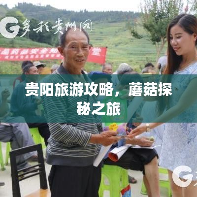 贵阳旅游攻略，蘑菇探秘之旅