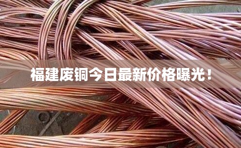 福建废铜今日最新价格曝光！