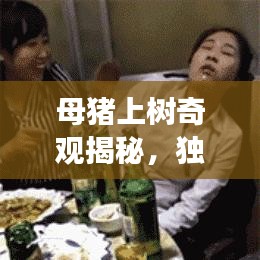 母猪上树奇观揭秘，独家旅游攻略，带你探秘独特体验！