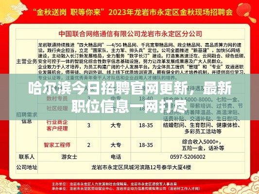 哈尔滨今日招聘官网更新，最新职位信息一网打尽