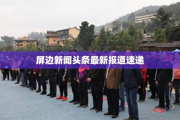 屏边新闻头条最新报道速递