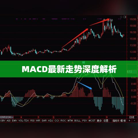 MACD最新走势深度解析