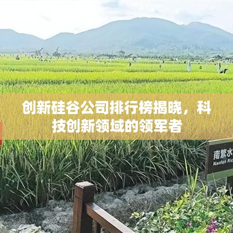 创新硅谷公司排行榜揭晓，科技创新领域的领军者