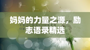 妈妈的力量之源，励志语录精选