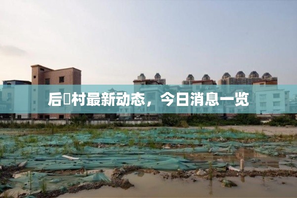 后滘村最新动态，今日消息一览