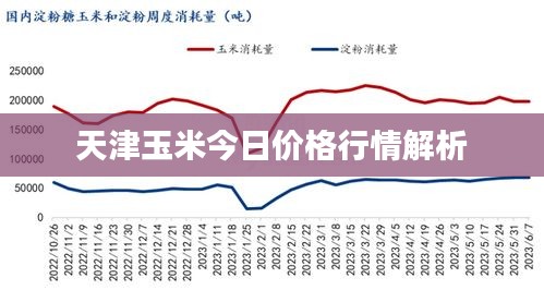 物离乡贵 第2页
