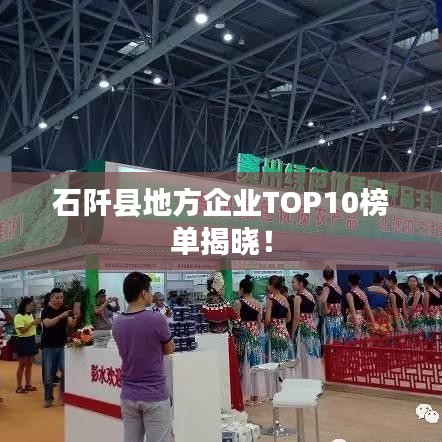 石阡县地方企业TOP10榜单揭晓！