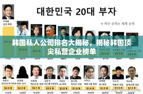 韩国私人公司排名大揭秘，揭秘韩国顶尖私营企业榜单