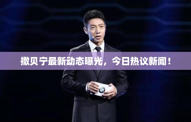 撒贝宁最新动态曝光，今日热议新闻！