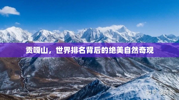 斫琱为朴 第2页