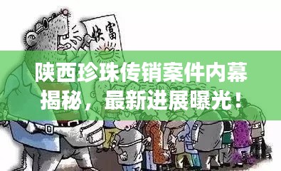 陕西珍珠传销案件内幕揭秘，最新进展曝光！