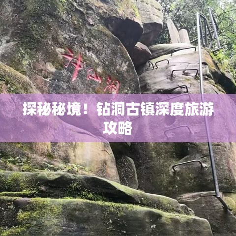 水浄鹅飞 第2页