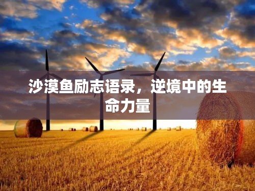沙漠鱼励志语录，逆境中的生命力量