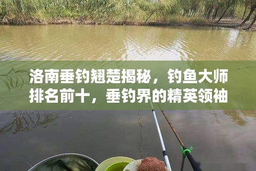 洛南垂钓翘楚揭秘，钓鱼大师排名前十，垂钓界的精英领袖！