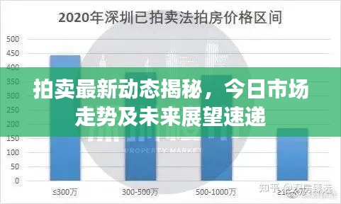 拍卖最新动态揭秘，今日市场走势及未来展望速递