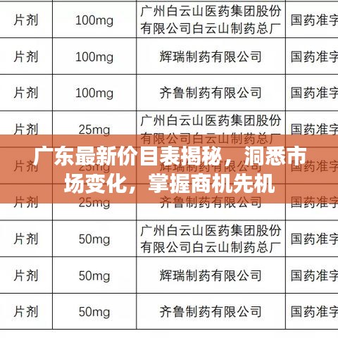广东最新价目表揭秘，洞悉市场变化，掌握商机先机