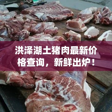 洪泽湖土猪肉最新价格查询，新鲜出炉！