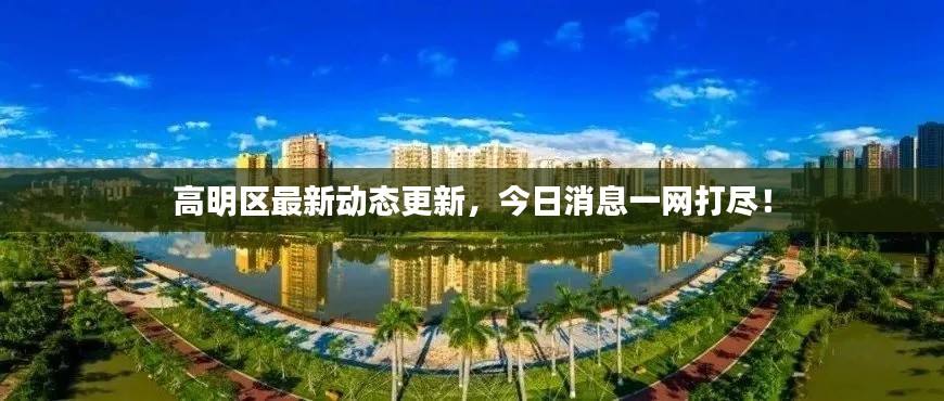 高明区最新动态更新，今日消息一网打尽！